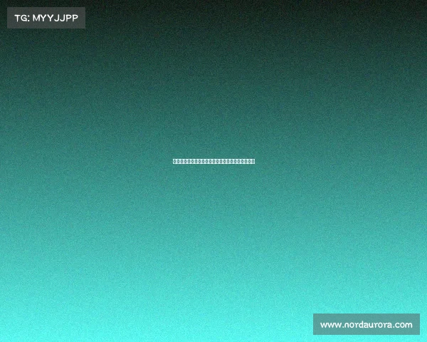 球员入选国家队的背后：选拔标准、流程与未来展望