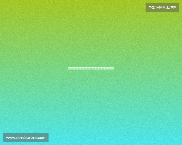 欧洲冠军联赛球迷专属旅行攻略不容错过畅游各大城市体验足球激情