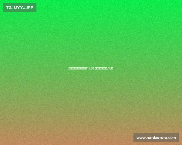 克內克特首發表現出色場均19.6分 替補貢獻穩定場均7.8分.