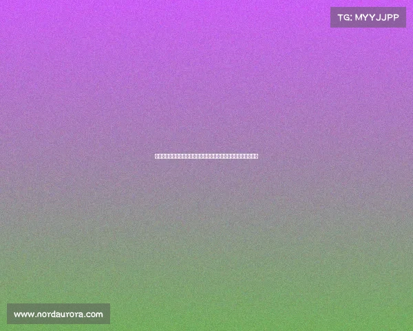 欧洲冠军联赛球迷专属旅行攻略不容错过畅游各大城市体验足球激情