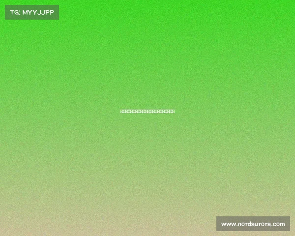 霍伊伦凭借团队协作与终结能力成就锋线核心角色 霍伊伦凭借团队协作与终结能力成就锋线核心角色