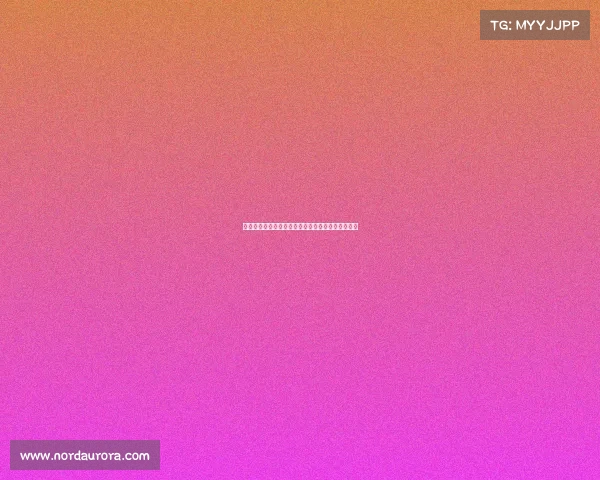 足球转会合同中的关键条款解析与背后影响因素探讨