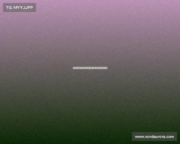 阿莱格里与塔雷深入讨论转会市场及迈尼昂续约事宜